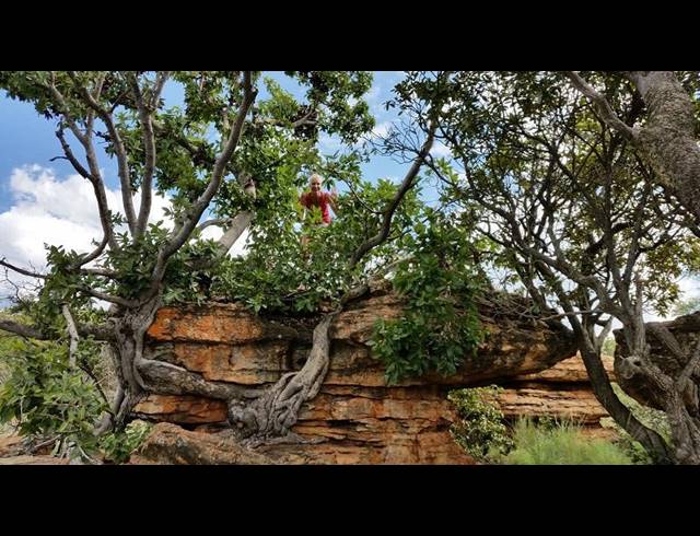 HA FARM FOR SALE IN RUSTENBURG RURAL